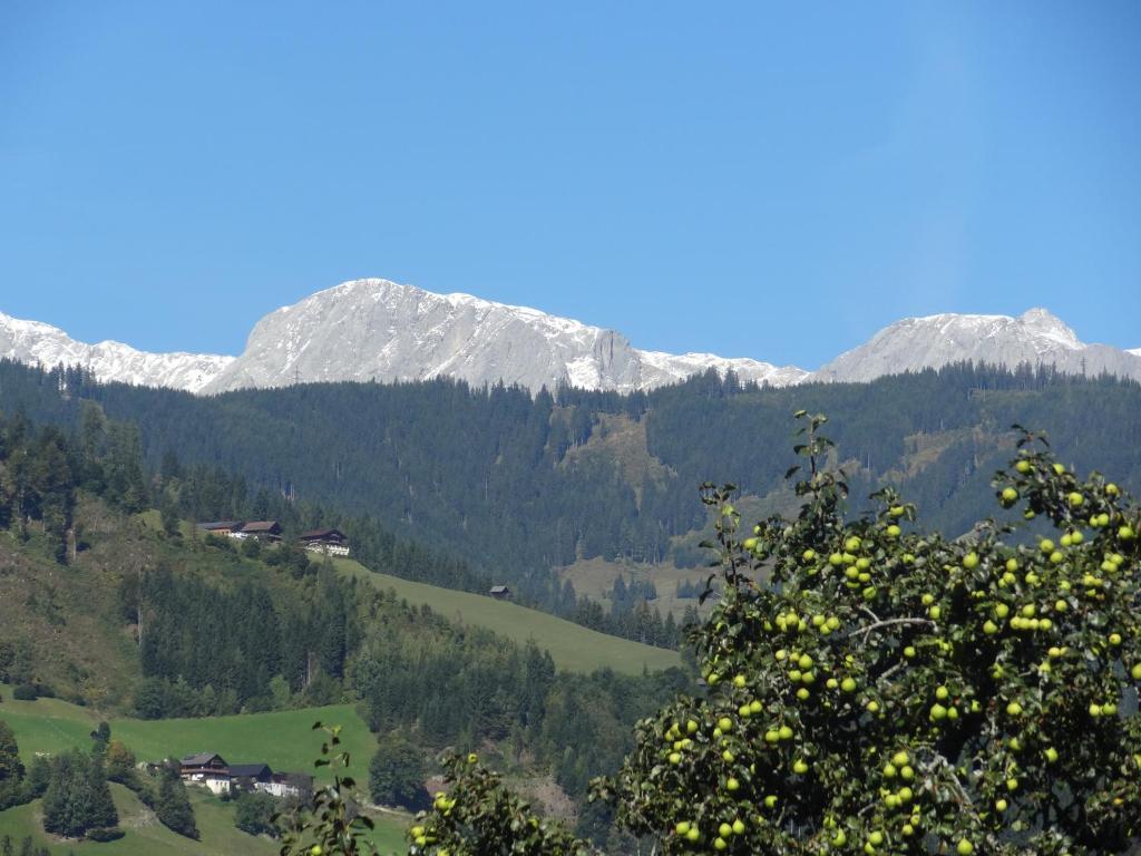 Pension Appartements Reithof Sankt Johann im Pongau Room photo